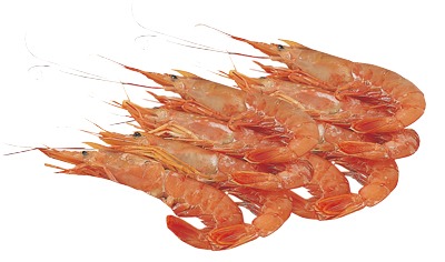 有頭えび(解凍)
