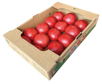 トマト大箱