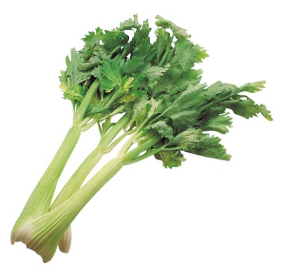 セロリ
