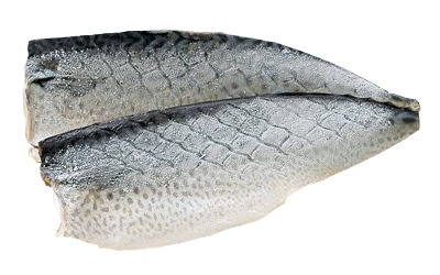 さば魚醤フィレ