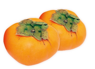 種無し柿
