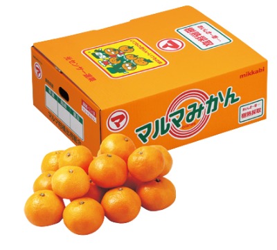 産直！マルマ三ヶ日みかん（青秀）（M・Sサイズ）