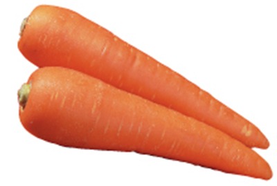 にんじんバラ（Lサイズ）