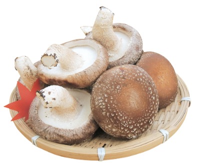 助安農場ジャンボ生椎茸(菌床)