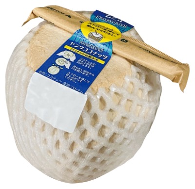 ヤングココナッツ