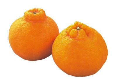 デコポン（3Lサイズ）