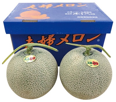 夫婦メロン（2Lサイズ）