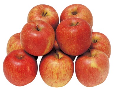 早生ふじりんご小箱