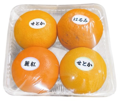 蒲郡柑橘ミックス（せとか×2・麗紅×1・はるみ×1）