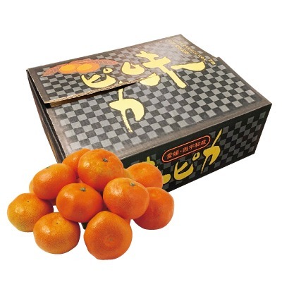 味ピカみかん(各サイズ)