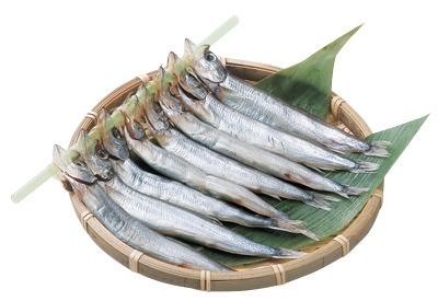 カラフトししゃも(メス)