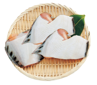 黒がれい子持ち