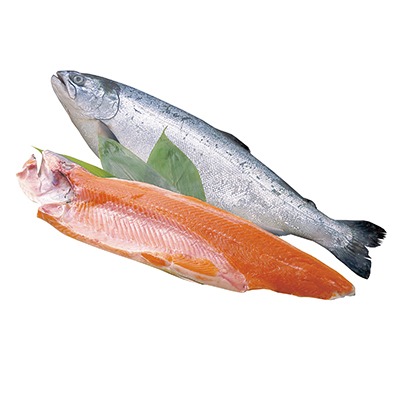 生銀さけ(養殖)
