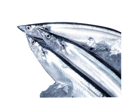 さんま（解凍）