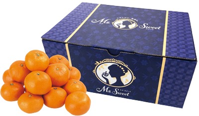 Ms.Sweetみかん（Mサイズ）