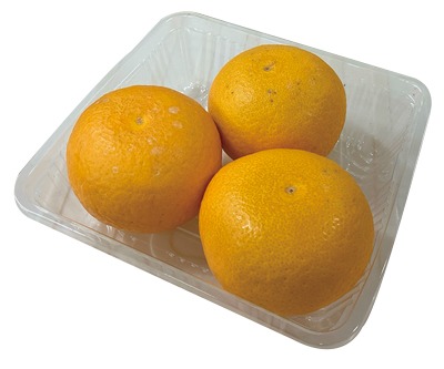 サマー清見オレンジ（2Lサイズ）