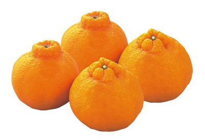 デコポン(Mサイズ)