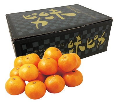 味ピカみかん Mサイズ