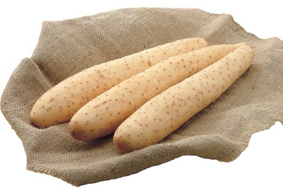 JA帯広かわにし十勝川西長いも