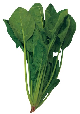 サラダほうれん草