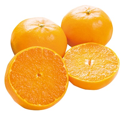 蒲郡せとか（Lサイズ）