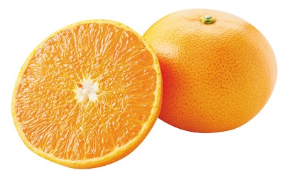 蒲郡せとか(Lサイズ)