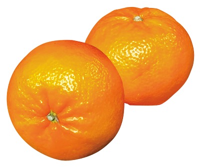 蒲郡麗紅(Lサイズ)