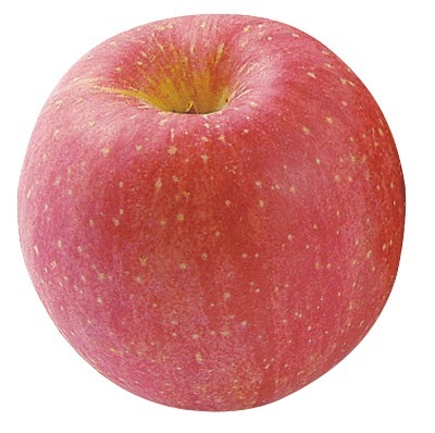 早生ふじりんご