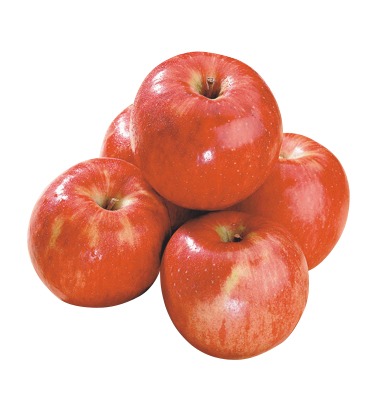 サンふじりんご大袋